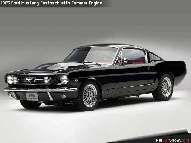 Ford-Mustang_Fastback_with_Cammer_Engine_1965_1600x1200_wallpaper_01